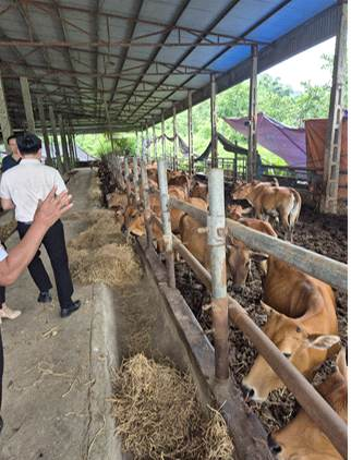 Khảo sát thực địa trang trại Cát Lý