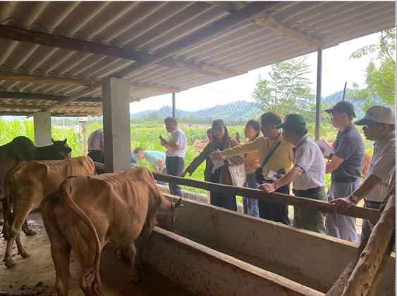 Khảo sát chăn nuôi thân thiện với môi trường tại Hà Giang